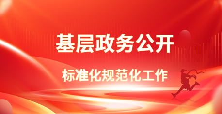 基層政務公開 標準化規范化工作