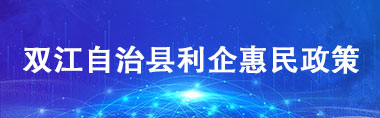 雙江利企惠民政策