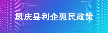 鳳慶縣利企惠民政策