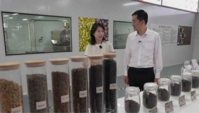 一線看發(fā)展?2025年經(jīng)濟(jì)良好開局 | 訪中共云縣委副書記、縣長(zhǎng)段學(xué)能 突出重點(diǎn) 真抓實(shí)干 奮力開創(chuàng)云縣高質(zhì)量發(fā)展新局面